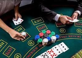 tg88vip cá cược thể thao